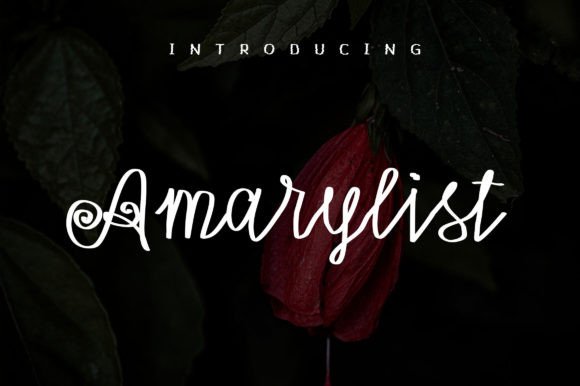 Amarylist Font for Modern Web Design