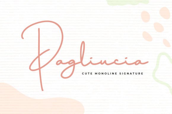 Pagliucia Script Font Review